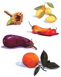 watercolor veges